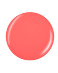 Vector illustration of a coral pink circle for sample color swatch