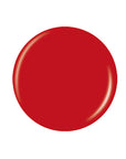Dark red vector circle button sample color Pantone lay in white color scene