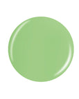 Glossy green round shape swatch color drop in white color background