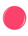 Bright pink vector circle badge sample color Pantone lay in white background