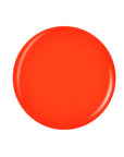 Glossy orange circle badge sample color Pantone lay in white color background
