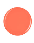 Vector peach color of a circle swatch color drop in white background