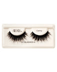 1 pair of lashes on tray