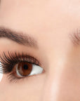 A model wearing Ardell's Faux mink 817 with open right eye in side view, showing winged-out & natural lash look