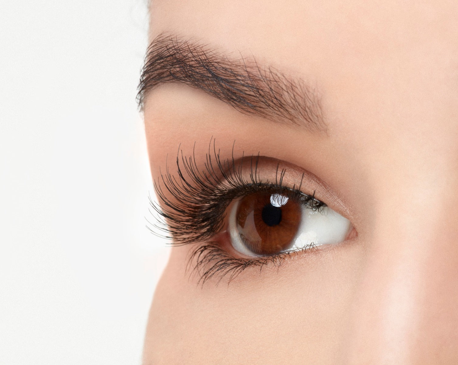 Angled close-up of a model's open right eye wearing an Ardell Natural 176 faux lash